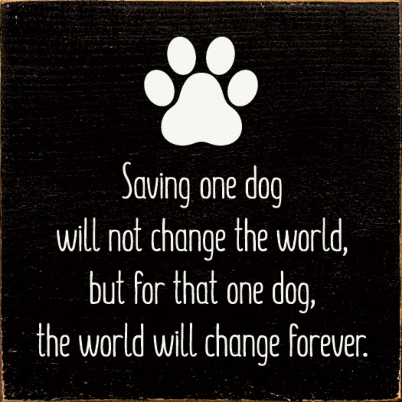 Inspirational Dog Quote Sign Rustic Knotty Pine Square Wall Decor 7x7 Inch